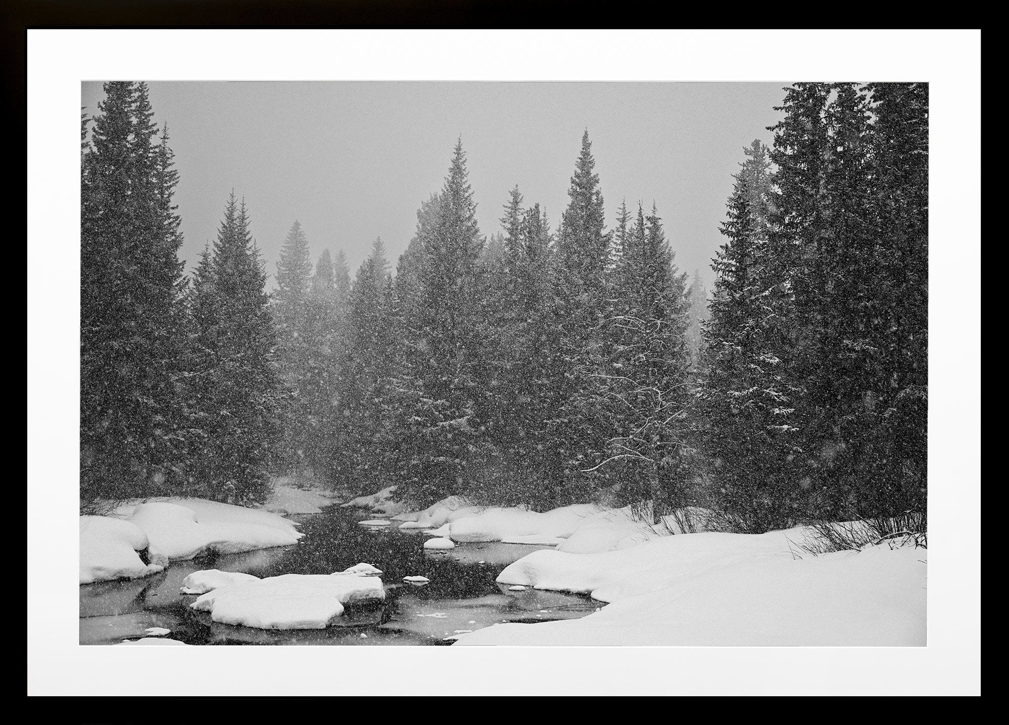 Falling Quiet