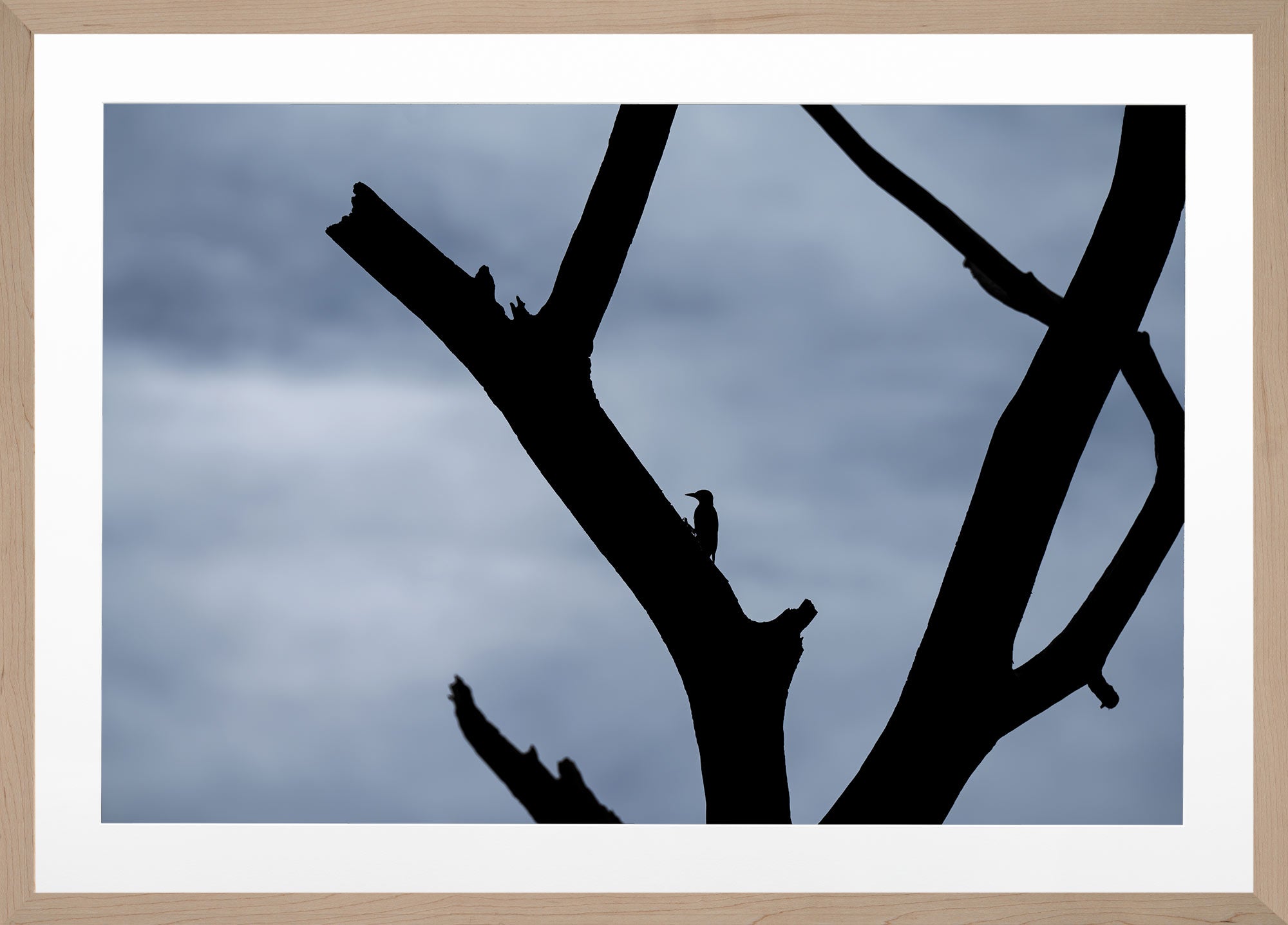 Figure and Branch