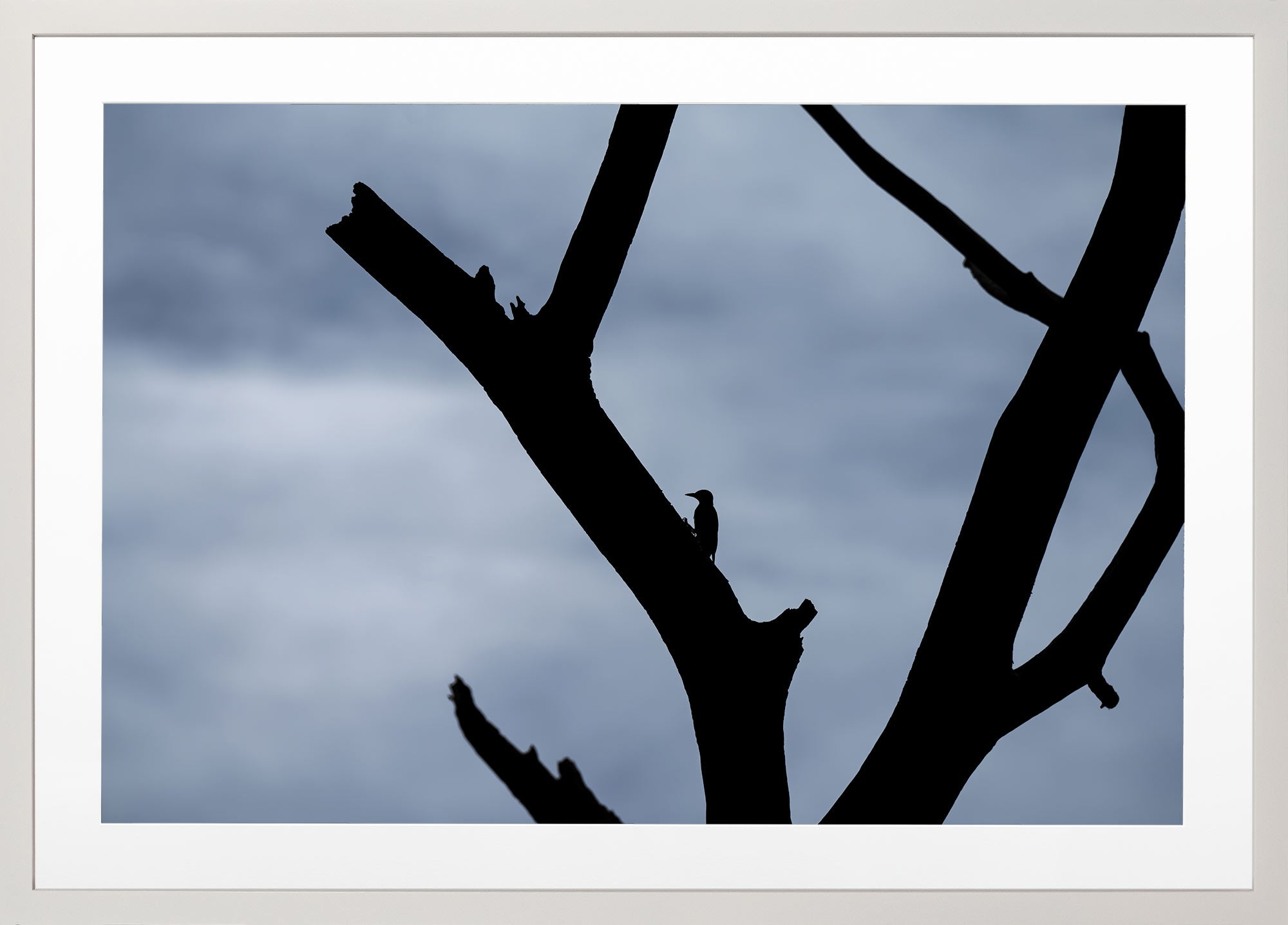 Figure and Branch