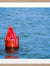 Buoy N. 6