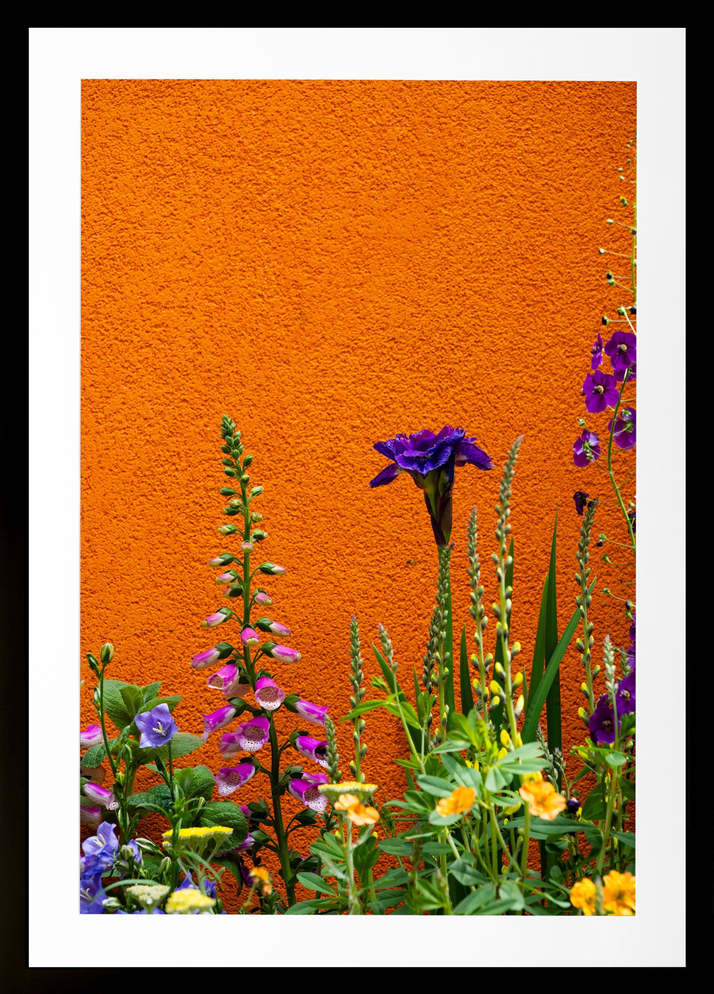 Bloom & Stucco