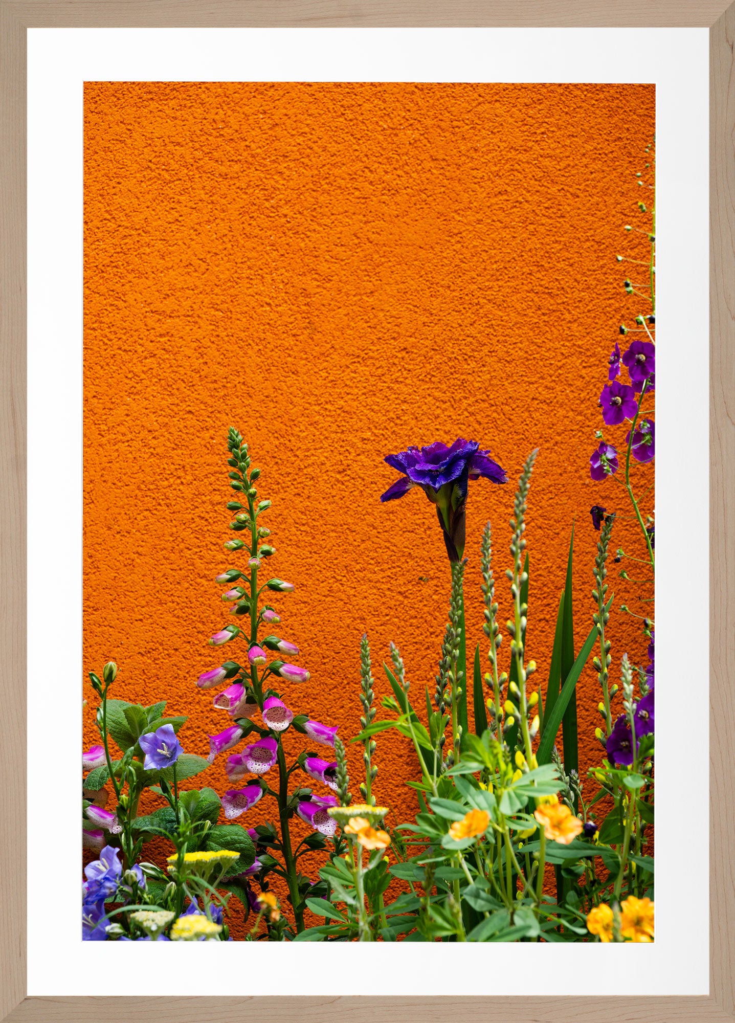 Bloom & Stucco
