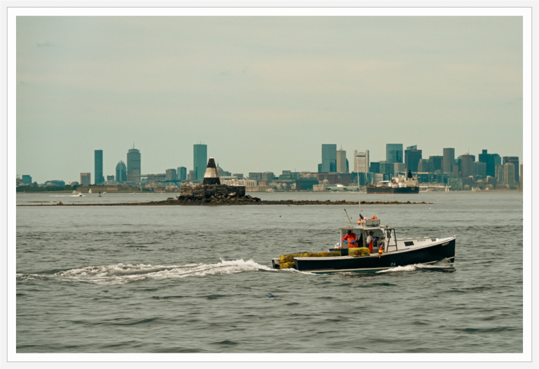 Main image Homeward with the Haul