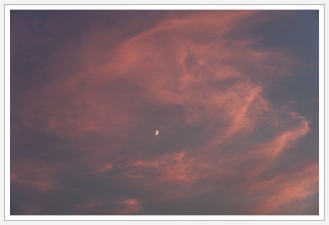 Main image Crescent in Blush