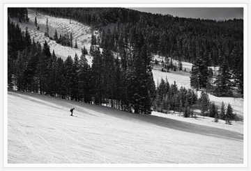 Main image Solitude in Motion