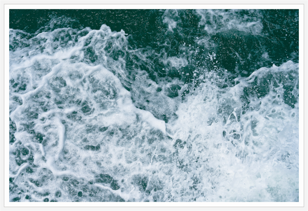 Main image Foam and Fury