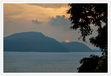 Main image Almost Gone