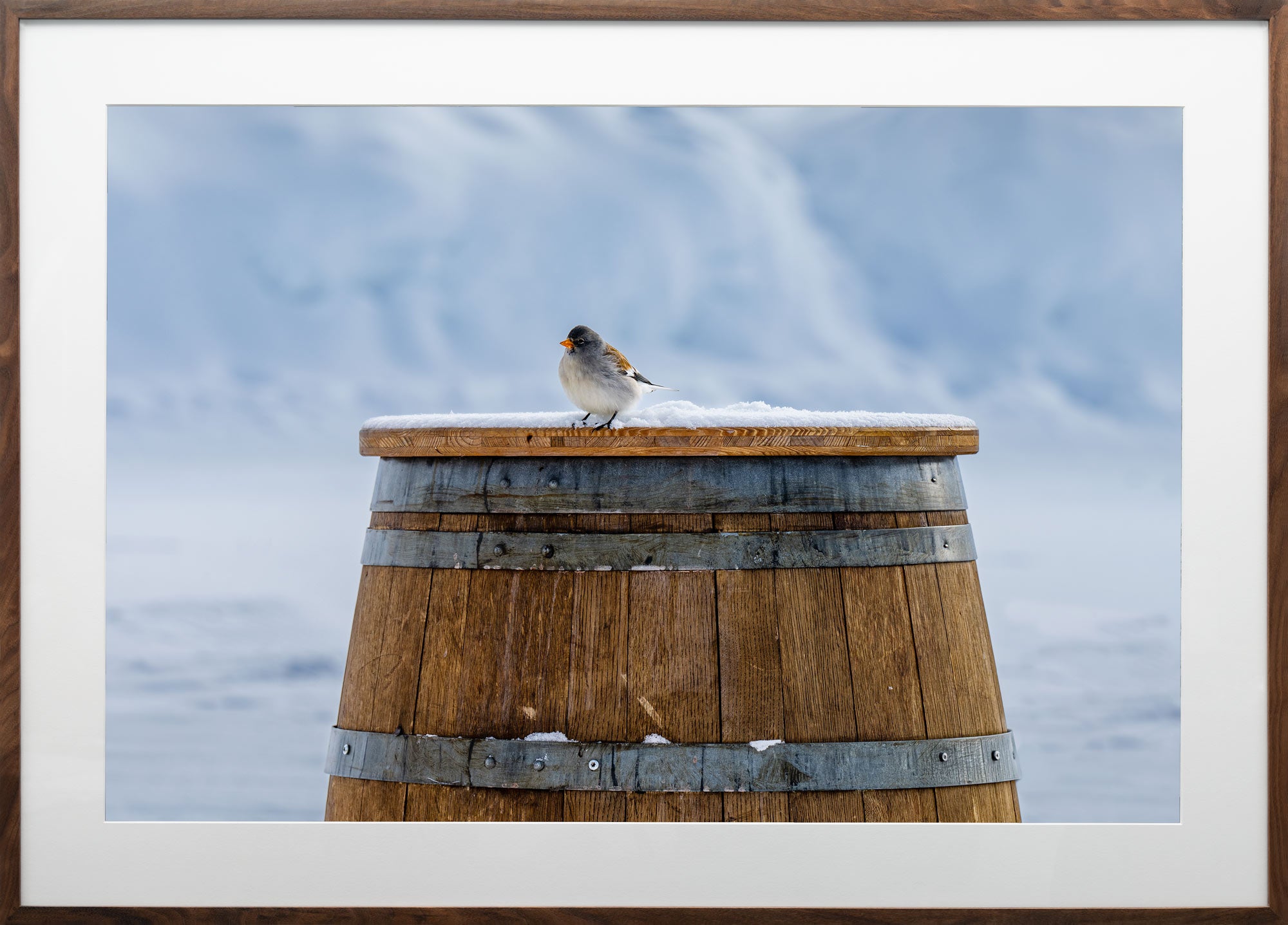 Après Bird