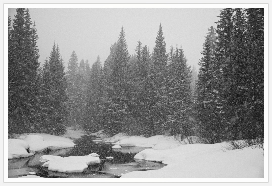 Main image Falling Quiet